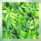 Lush Green Blätter Pattern - Natur botanisch Fensteraufkleber (Blatt 3)