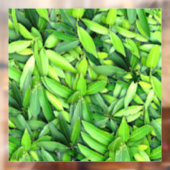 Lush Green Blätter Pattern - Natur botanisch Fensteraufkleber (Blatt 2)