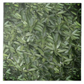 Lush Green Blätter Pattern - Natur botanisch Fliese (Vorderseite)