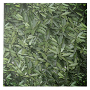 Lush Green Blätter Pattern - Natur botanisch Fliese