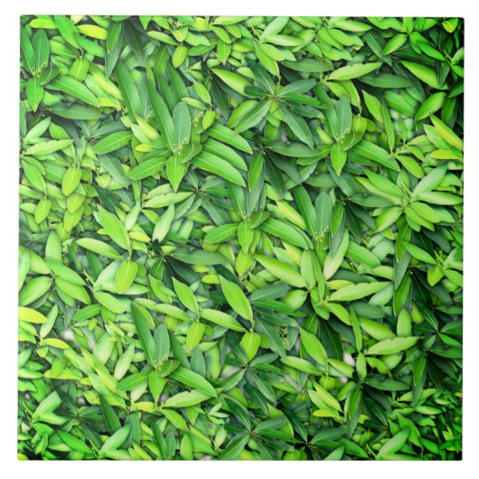 Lush Green Blätter Pattern - Natur botanisch Fliese (Vorderseite)