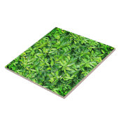 Lush Green Blätter Pattern - Natur botanisch Fliese (Seite)