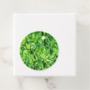 Lush Green Blätter Pattern - Natur botanisch Geschenkanhänger