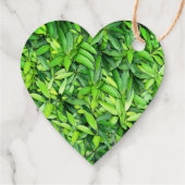Lush Green Blätter Pattern - Natur botanisch Geschenkanhänger (Rückseite)