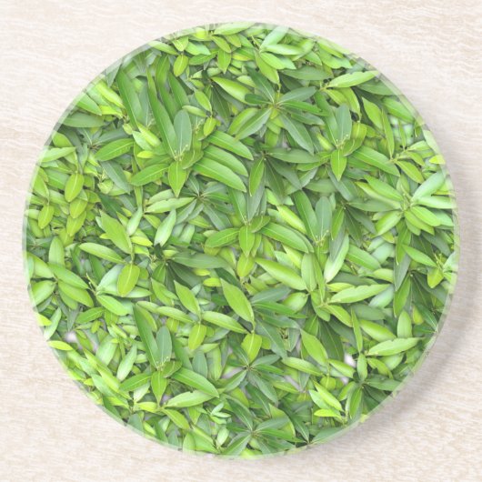 Lush Green Blätter Pattern - Natur botanisch Getränkeuntersetzer (Vorne)
