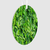 Lush Green Blätter Pattern - Natur botanisch Ornament (Vorderseite)