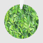 Lush Green Blätter Pattern - Natur botanisch Ornament (Vorderseite)