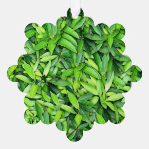 Lush Green Blätter Pattern - Natur botanisch Ornament Karte