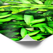 Lush Green Blätter Pattern - Natur botanisch Poster (Ecke)
