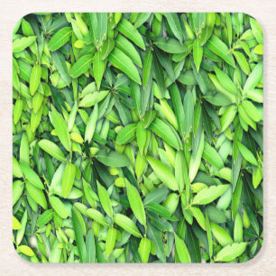 Lush Green Blätter Pattern - Natur botanisch Rechteckiger Pappuntersetzer