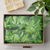 Lush Green Blätter Pattern - Natur botanisch Seidenpapier (Geschenk)