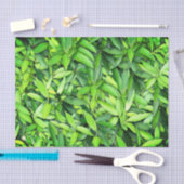 Lush Green Blätter Pattern - Natur botanisch Seidenpapier (Handwerk)