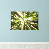 Lush Green Rain Forest Leinwanddruck (Insitu (Holzboden))