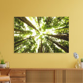 Lush Green Rain Forest Leinwanddruck (Insitu (Wohnzimmer))