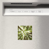 Lush Green Rain Forest Magnet (In Situ (Geschirrspüler))