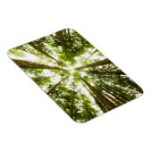 Lush Green Rain Forest Magnet (Rechte Seite)