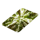 Lush Green Rain Forest Magnet (Linke Seite)