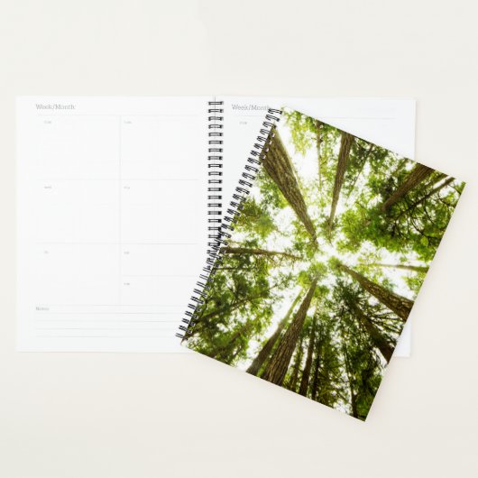 Lush Green Rain Forest Planer (Anzeige)