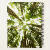Lush Green Rain Forest Planer (Rückseite)