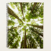 Lush Green Rain Forest Planer (Vorderseite)