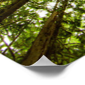 Lush Green Rain Forest Poster (Ecke)