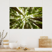 Lush Green Rain Forest Poster (Küche)