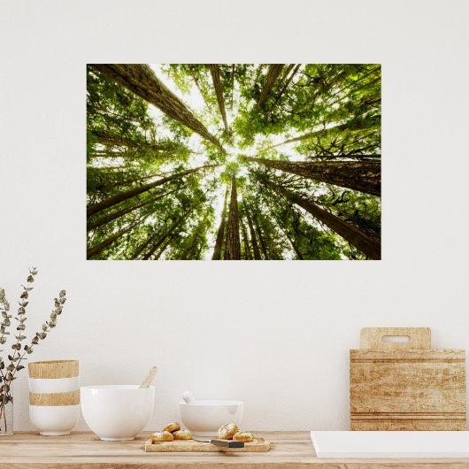 Lush Green Rain Forest Poster (Küche)