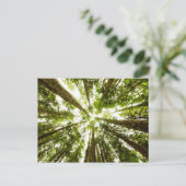 Lush Green Rain Forest Postkarte (Stehend Vorderseite)