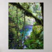 Lush Jungle River Poster (Vorne)
