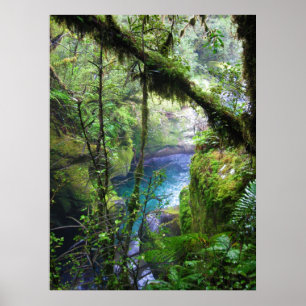 Lush Jungle River Poster