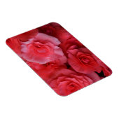 Lush Pink Begonia Magnet (Rechte Seite)