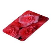 Lush Pink Begonia Magnet (Linke Seite)