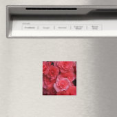Lush Pink Double Begonia Magnet (In Situ (Geschirrspüler))