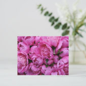 Lush Pink Peony Blume Postkarte (Stehend Vorderseite)