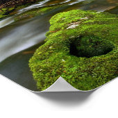 Lush Rain Forest Stream Poster (Ecke)
