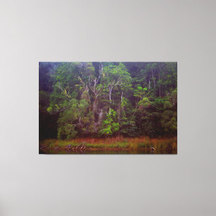 LUSH RAINFOREST 40x60 Leinwanddruck