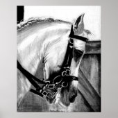 Lusitano Dressage Horse Portrait Poster (Vorne)