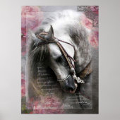 Lusitano Horse - Poster (Vorne)