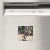 Lusitano Pferd bei Liberty Magnet (In Situ (Geschirrspüler))