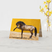 Lusitano Stallion Pferderlebniskarte Karte (Gelbe Blume)