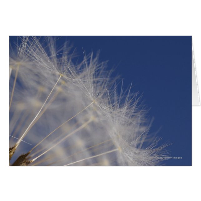 Lüster (Vorderseite (Horizontal))