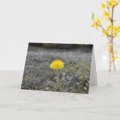 Lüster / Abgeschiedene Farbe: Karte (Gelbe Blume)