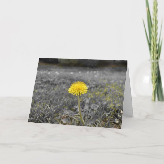 Lüster / Abgeschiedene Farbe: Karte (Vorderseite)