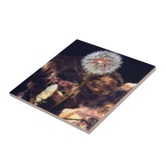 Lüster Fliese (Seite)