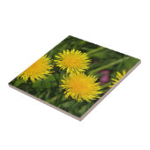 Lüster Fliese (Seite)