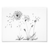 Lüster Fotodruck (Vorne)