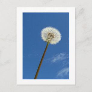 Lüster gegen den blauen Himmel - Postkarte