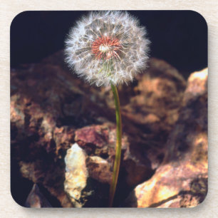 Lüster Getränkeuntersetzer