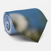 Lüster in der Leuchtkranzbinde Krawatte (Gerollt)