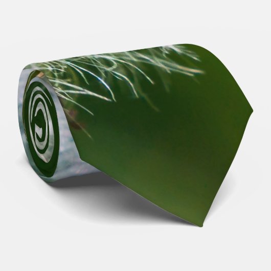 Lüster in der Leuchtkranzbinde Krawatte (Gerollt)